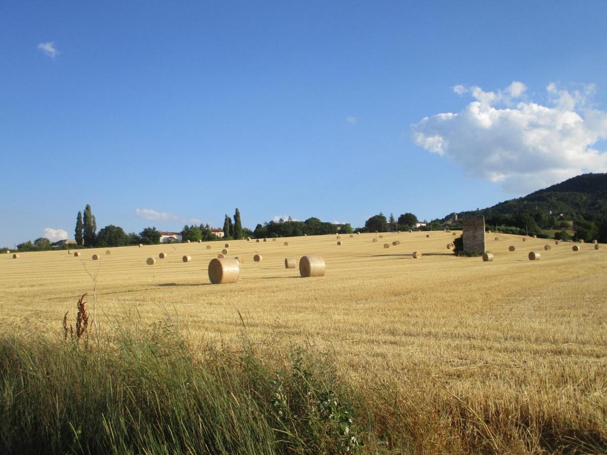 Il Risveglio Dei Sensi Villa Fossato di Vico Buitenkant foto